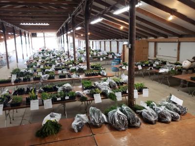 Fall sale orders packed.