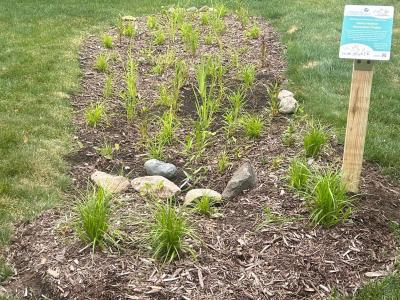 Georgetown Commons South Condominium Association - "GCS Winthrop Rain Garden"