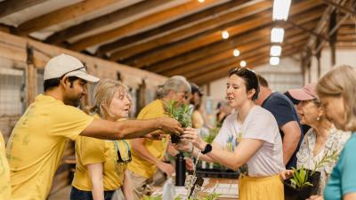 Staff giving away milkweed at native plants event.