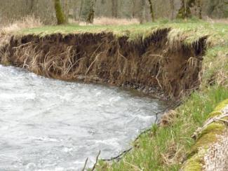 Stream Bank erosion