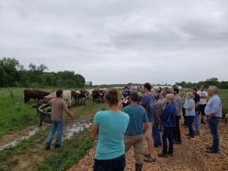 Green Things Farm Collective LLC Continues to Impress