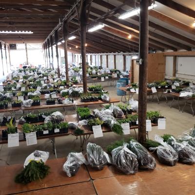 Fall sale orders packed.