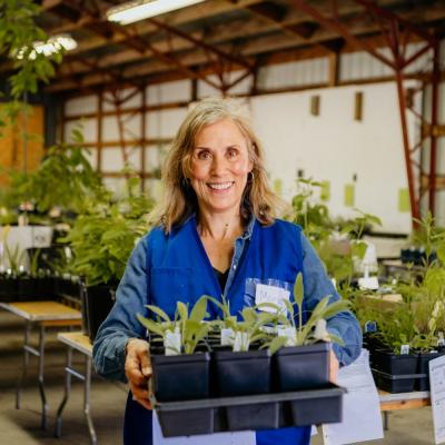 Volunteer with tray of native plants
